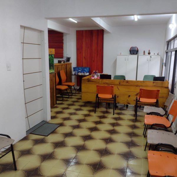 Foto 3