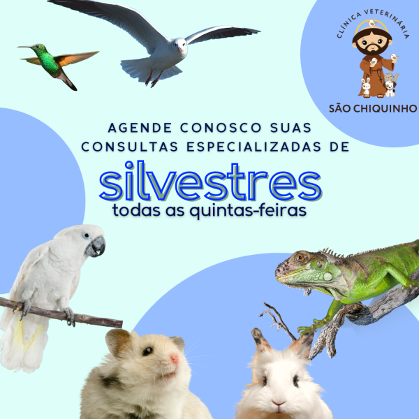 Quadro 1